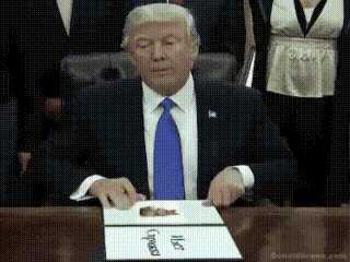 4_5832619614361617234 (1).gif