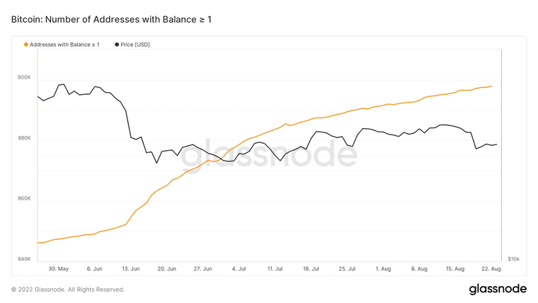 glassnode-studio_bitcoin-number-of-addresses-with-balance-1 (1).png