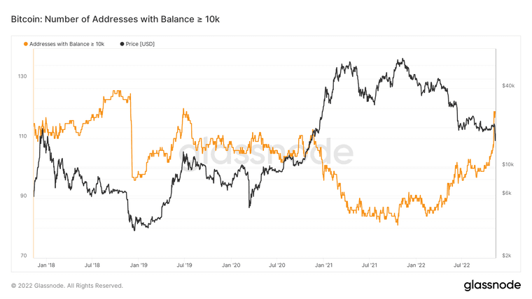 glassnode-studio_bitcoin-number-of-addresses-with-balance-10k.png