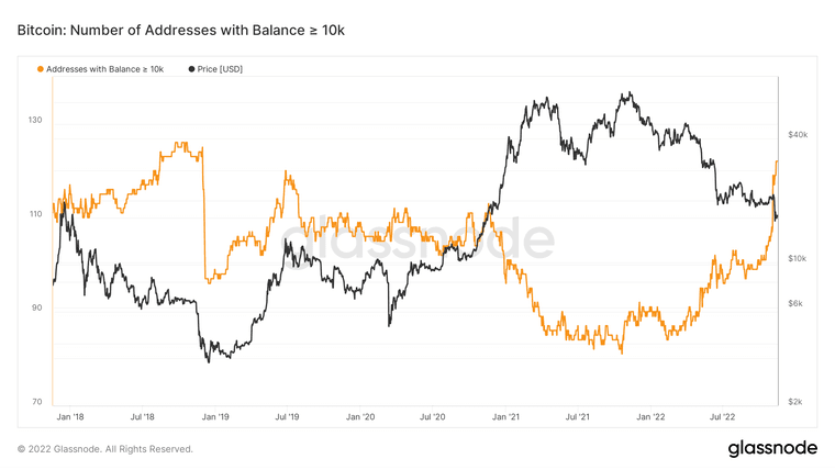 glassnode-studio_bitcoin-number-of-addresses-with-balance-10k.png